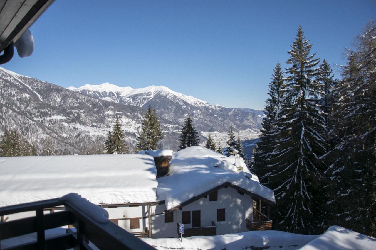 Delizioso Appartamento A Due Passi Dalle Piste Folgarida Exterior photo