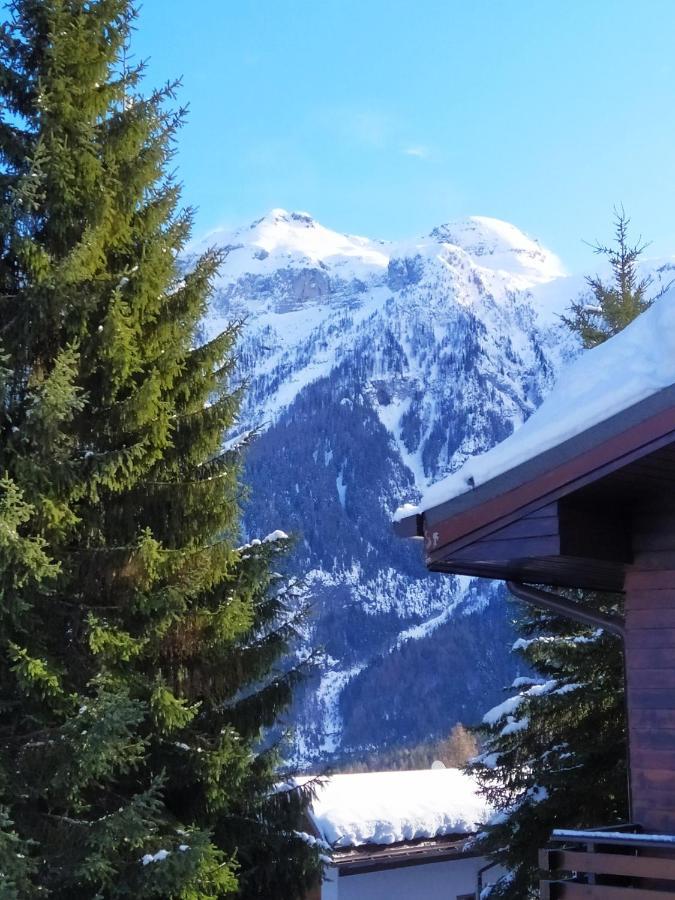 Delizioso Appartamento A Due Passi Dalle Piste Folgarida Exterior photo